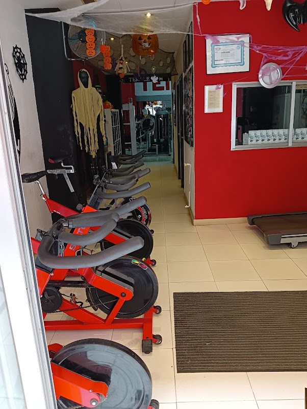 Temple Gym instalaciones