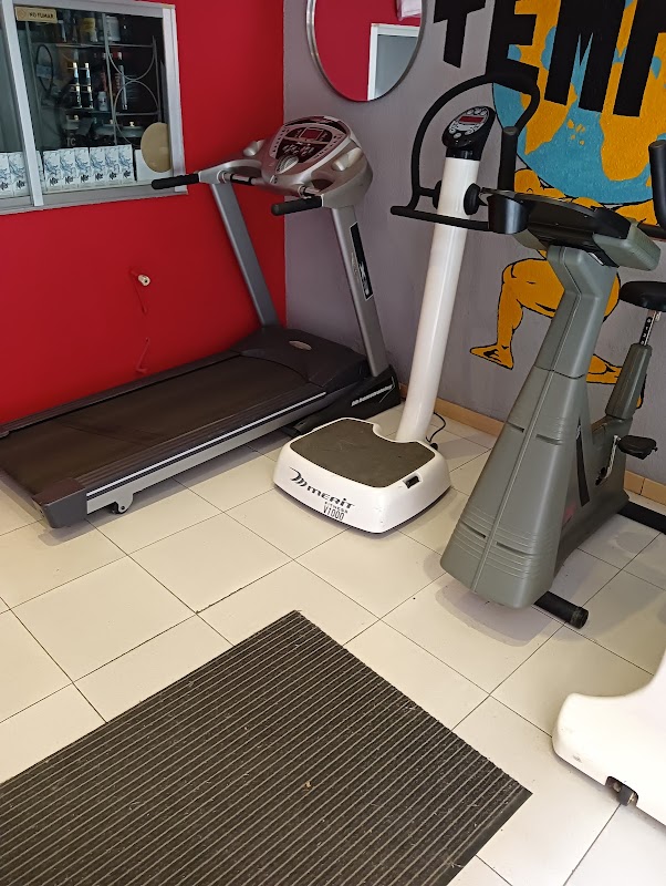 Temple Gym equipamiento